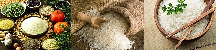 小麦烘干塔_小型玉米移动粮食烘干机—河南康百万机械有限公司(图1)